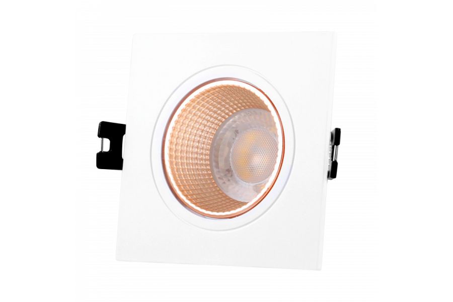 Встраиваемый светильник Denkirs Dk3021 DK3071-WBR