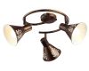 Спот Arte Lamp Cono A5218PL-3BR