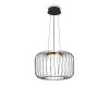 Подвесной светильник Freya Citrus FR5398PL-L8B