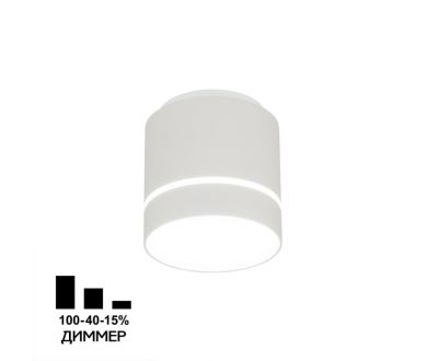 Накладной светильник Citilux Борн CL745010N