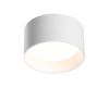 Накладной светильник Odeon Light Oben 6622/10CL