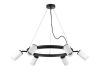 Подвесная люстра Lightstar Rullo (571016+214436-6+202430-6) LR0163660