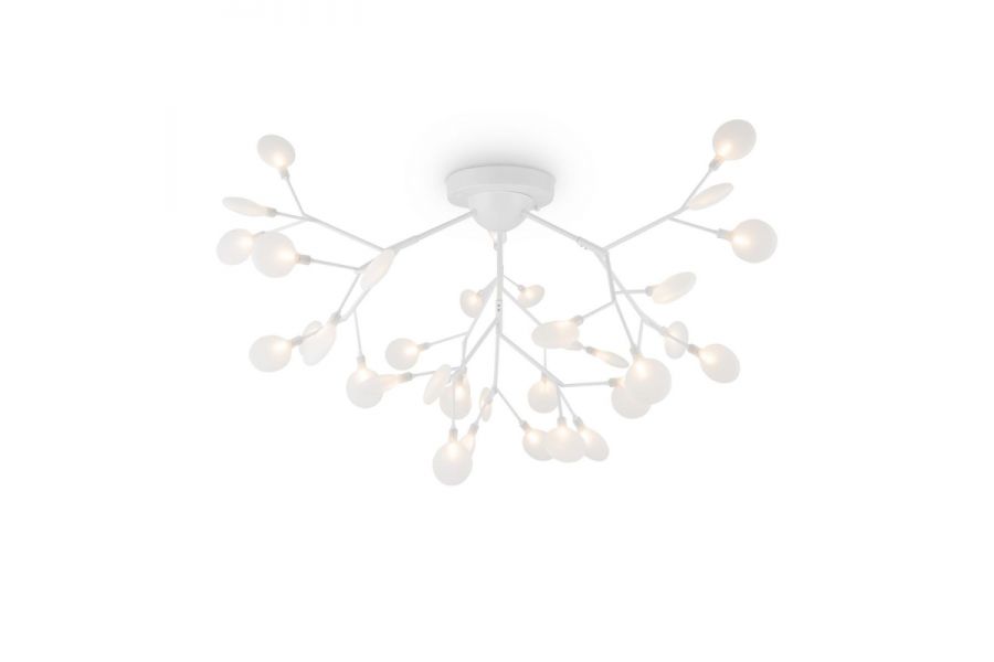 Потолочная люстра Freya Florencia FR5049CL-36W1