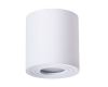 Накладной светильник ARTE Lamp A1460PL-1WH
