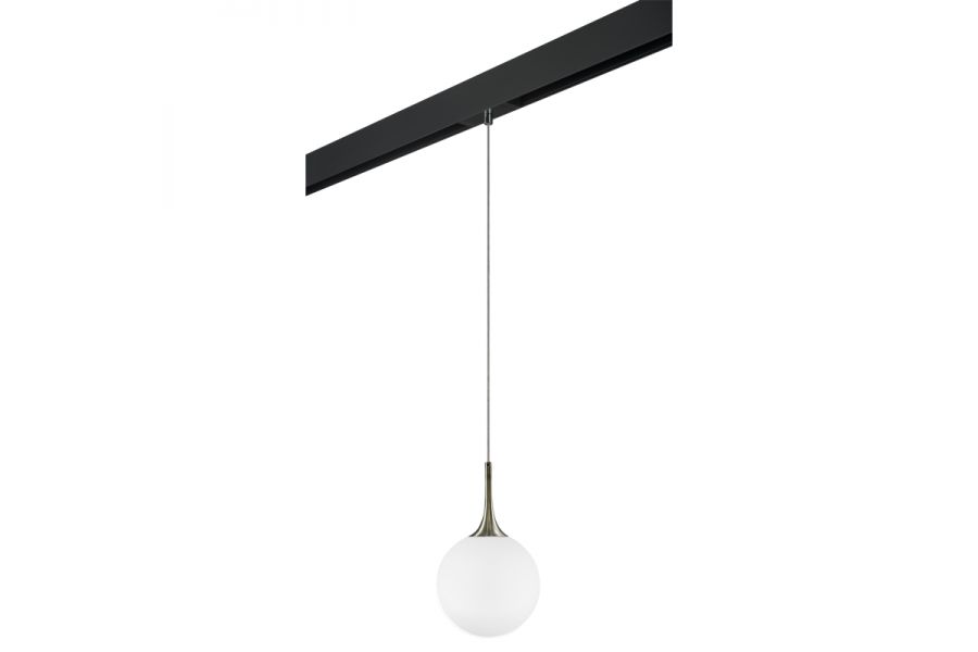 Трековый светильник Lightstar Globo PRO813021 (813021+595007)