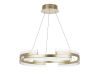 Подвесная люстра Lightstar Rotonda 736323
