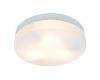 Потолочный светильник Arte Lamp Shirp A3211PL-3WH