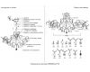 Потолочная люстра Crystal Lux ESMIRALDA PL9 SILVER