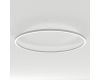 Подвесной светильник Arlight SP-LINE-HANG-ARC-O3535-D1500-102W Day4000 (WHITE, 230V) (Металл) 034013(3)