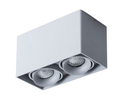 Потолочный светильник Arte Lamp Pictor A5654PL-2GY