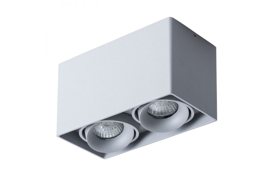 Потолочный светильник Arte Lamp Pictor A5654PL-2GY