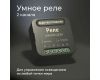 Умное двухканальное реле Elektrostandard 4690389185083 a059326