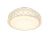 Потолочный светодиодный светильник Arte Lamp Celeste A1568PL-1CL