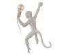 Настенный светильник Loft IT Monkey 10314W/B