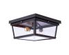 Потолочный светильник LOFT IT Modern filament Loft3110-2C