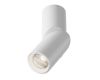 Накладной спот Maytoni Dafne C027CL-L10W4K
