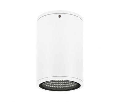 Уличный потолочный светильник Arlight LGD-Forma-Surface-R90-12W Warm3000 037261