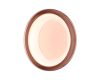 Настенно-потолочный светильник Sonex Color Portman 7778/DLN