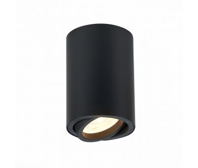 Купить Потолочный светильник ST LUCE ST108.407.01 Потолочный светильник ST LUCE ST108.407.01