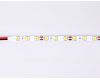 Светодиодная лента Ambrella Light Illumination 24В 5050 14,4Вт/м 3000K 5м IP20 GS4002