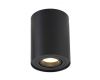 Потолочный светильник Crystal Lux CLT 410C1 BL