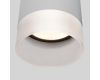 Уличный потолочный светильник Elektrostandard Light LED 4690389177965