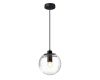 Подвесной светильник Loft IT 2031-A