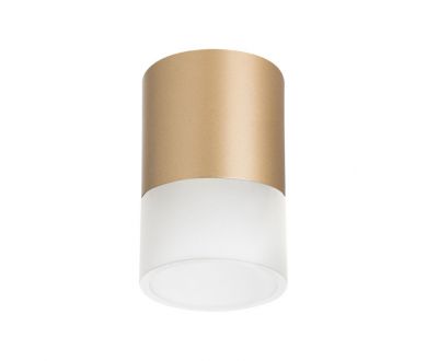Накладной светильник Lightstar Rullo (213490+202481) R349081