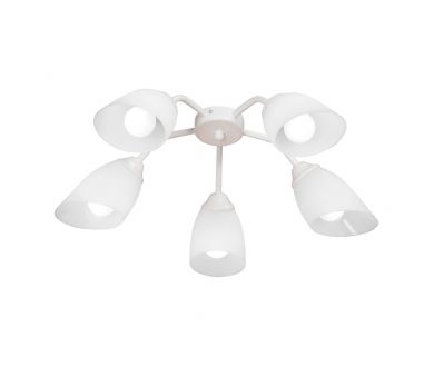 Потолочная люстра Vitaluce V31950/5PL