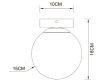 Настенно-потолочный светильник Arte Lamp Alcor A2224PL-1PB