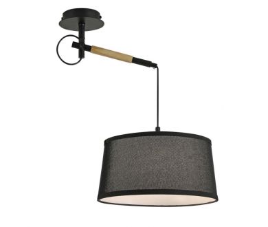 Настенно-потолочный светильник F-Promo Eureka 3006-1P