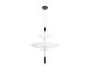 Подвесной светильник Loft IT Skylar 10244/C Black