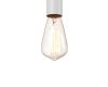 Подвесной светильник LOFT IT Wickle Loft1510WH