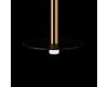 Подвесной светильник Loft IT Reed 10358/830 Disk AB