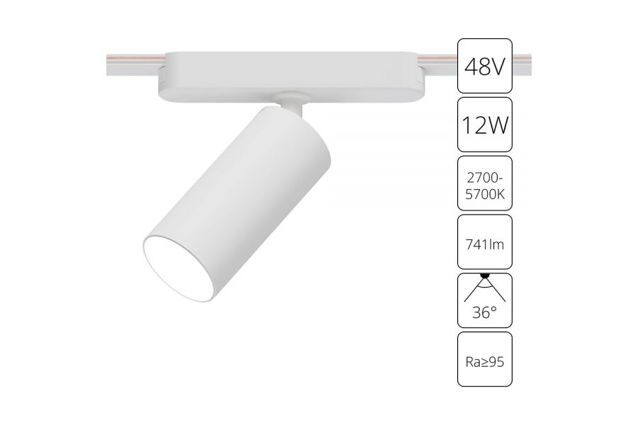 Трековый магнитный светильник Arte Lamp Rapid A2958PL-1WH
