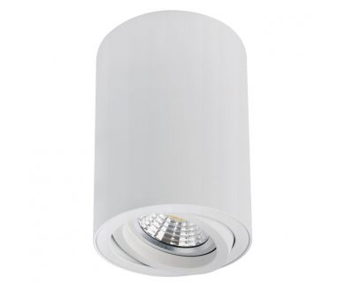 Накладной светильник Arte Lamp Sentry A1566PL-1WH