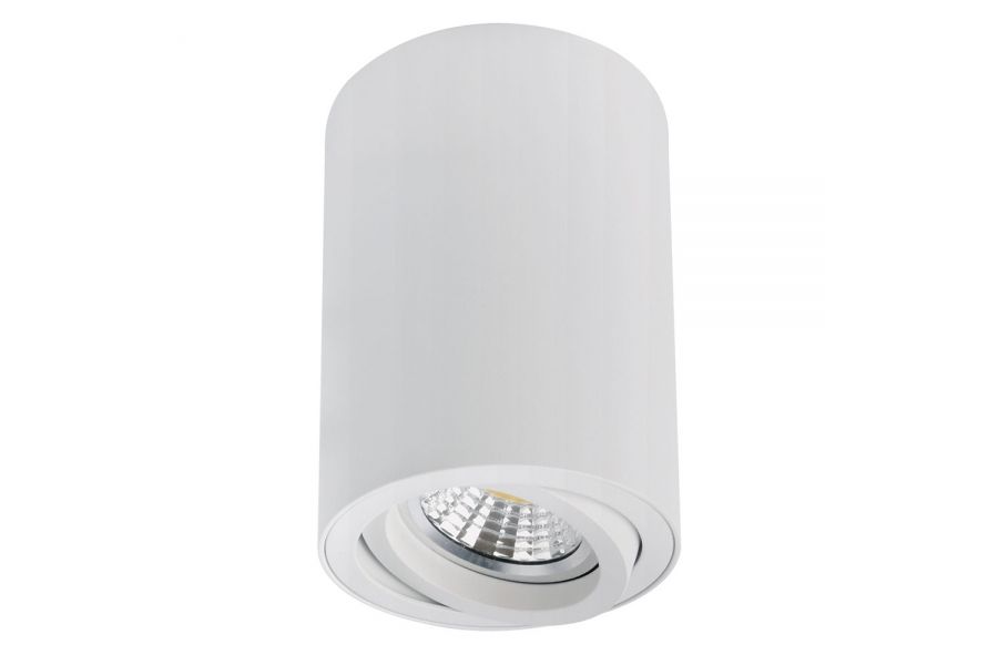 Накладной светильник Arte Lamp Sentry A1566PL-1WH