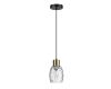 Подвесной светильник Lumion Ice 6562/1A