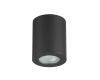 Потолочный светильник Odeon Light Aquana 3572/1C