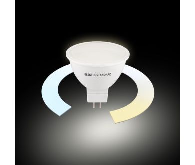 Умная светодиодная лампа Elektrostandard BLG5318 4690389217166 a071007