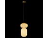 Подвесной светильник Loft IT Duff 10422/B