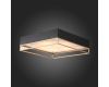 Накладная люстра ST-Luce SL1127.422.05