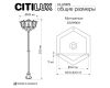 Парковый светильник Citilux Forts CLU10P3