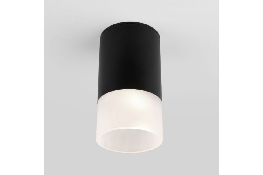 Уличный потолочный светильник Elektrostandard Light LED 4690389177910