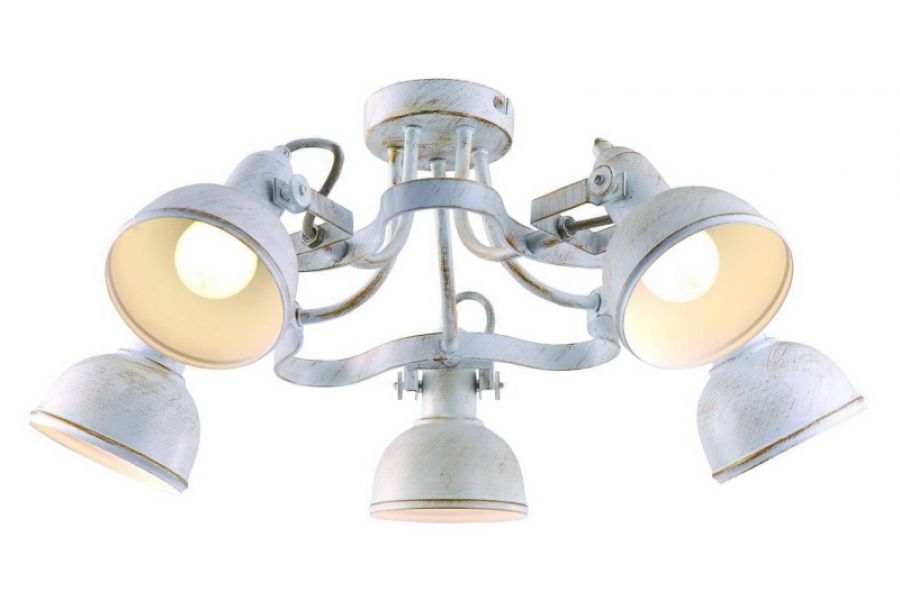 Потолочная люстра Arte Lamp Martin A5216PL-5WG