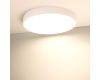 Потолочный светильник Arlight IM-RONDO-EMERGENCY-3H-R500-54W Warm3000 (BK, 120 deg, 230V) 041073
