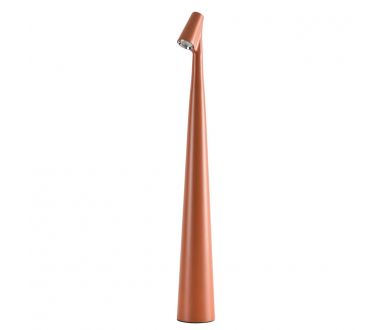 Настольная лампа Arte Lamp Fusion A3283LT-2BR