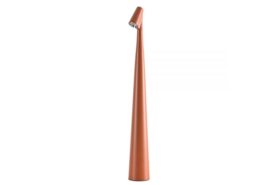 Настольная лампа Arte Lamp Fusion A3283LT-2BR