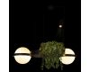 Подвесная люстра Loft IT Jardin 10121/2