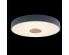 Потолочный светильник Loft IT AXEL 10003/24 Grey